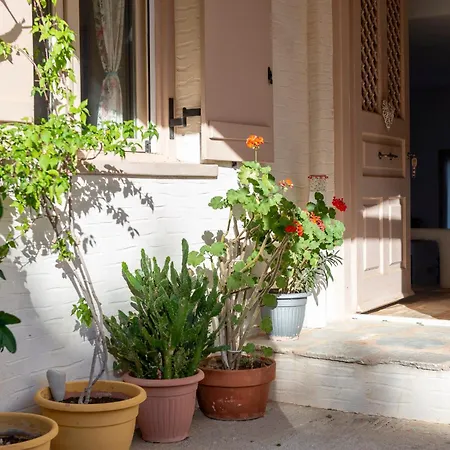 Eklekti House Tálanda