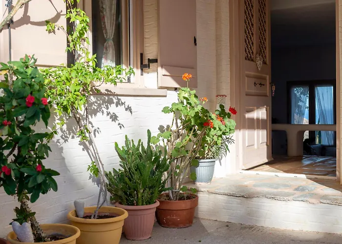 Eklekti House Tálanda